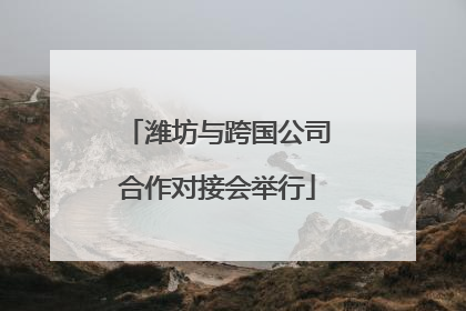 潍坊与跨国公司合作对接会举行